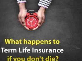 What Happens to Term Life Insurance If You Don't Die?