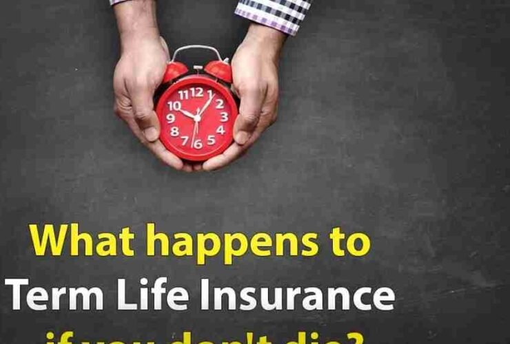 What Happens to Term Life Insurance If You Don't Die?