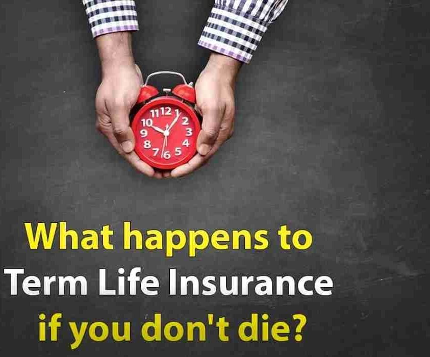 What Happens to Term Life Insurance If You Don't Die?